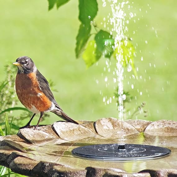 Solar Water Fountain